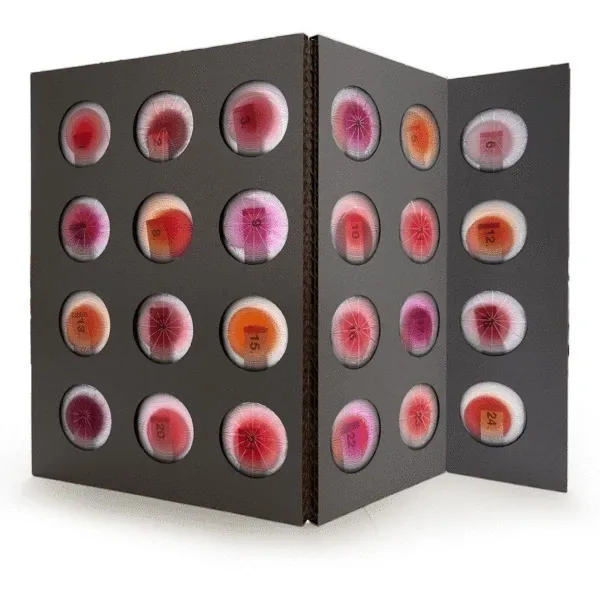 Adventskalender 'Das Loch in der Wand'